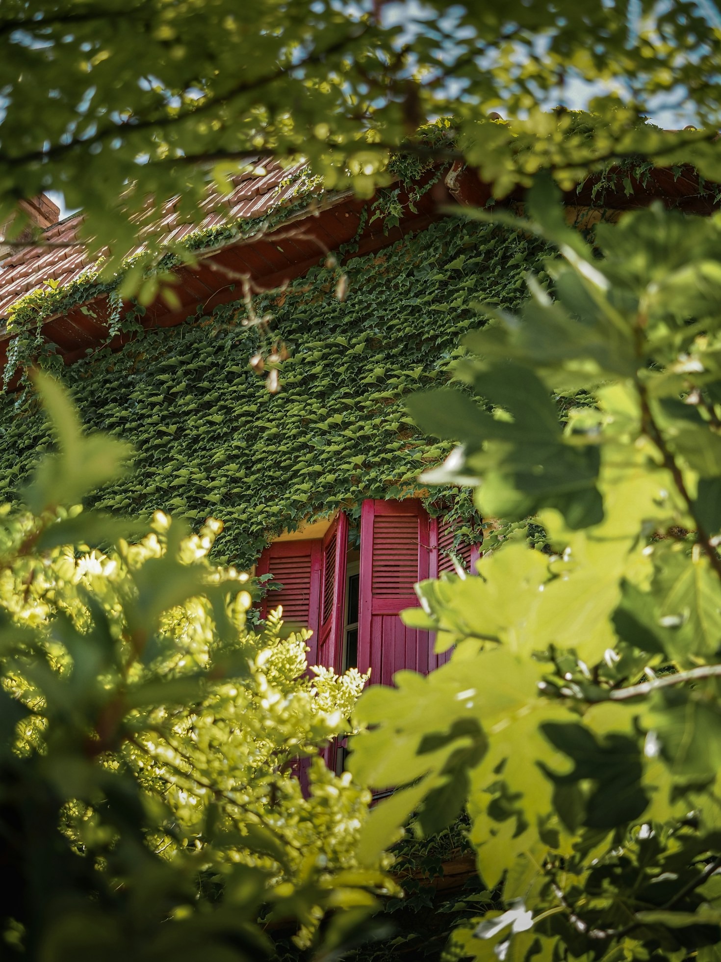 Waarom kleine irritaties ons veel leren