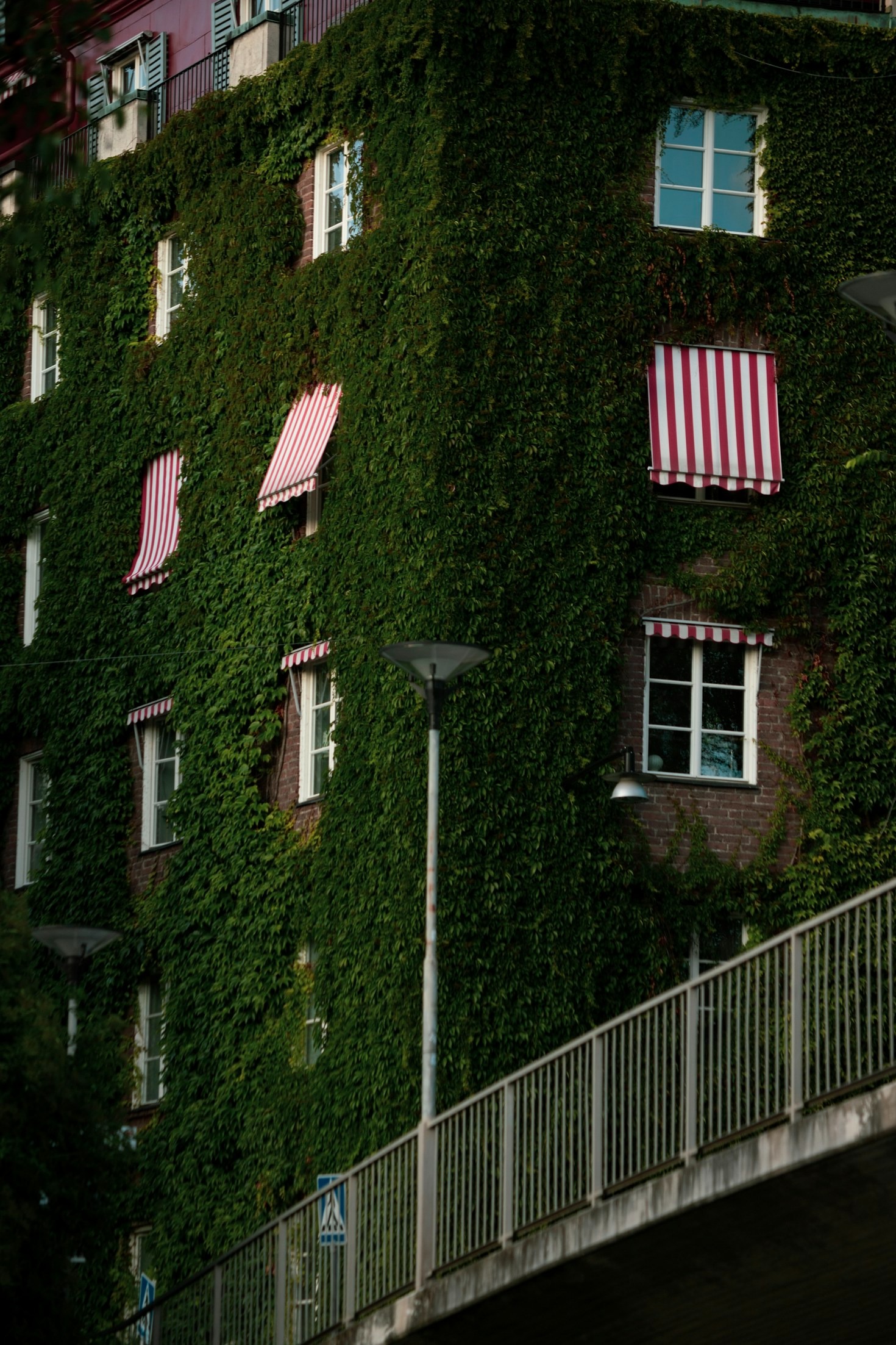 De kunst van het genieten van het gewone