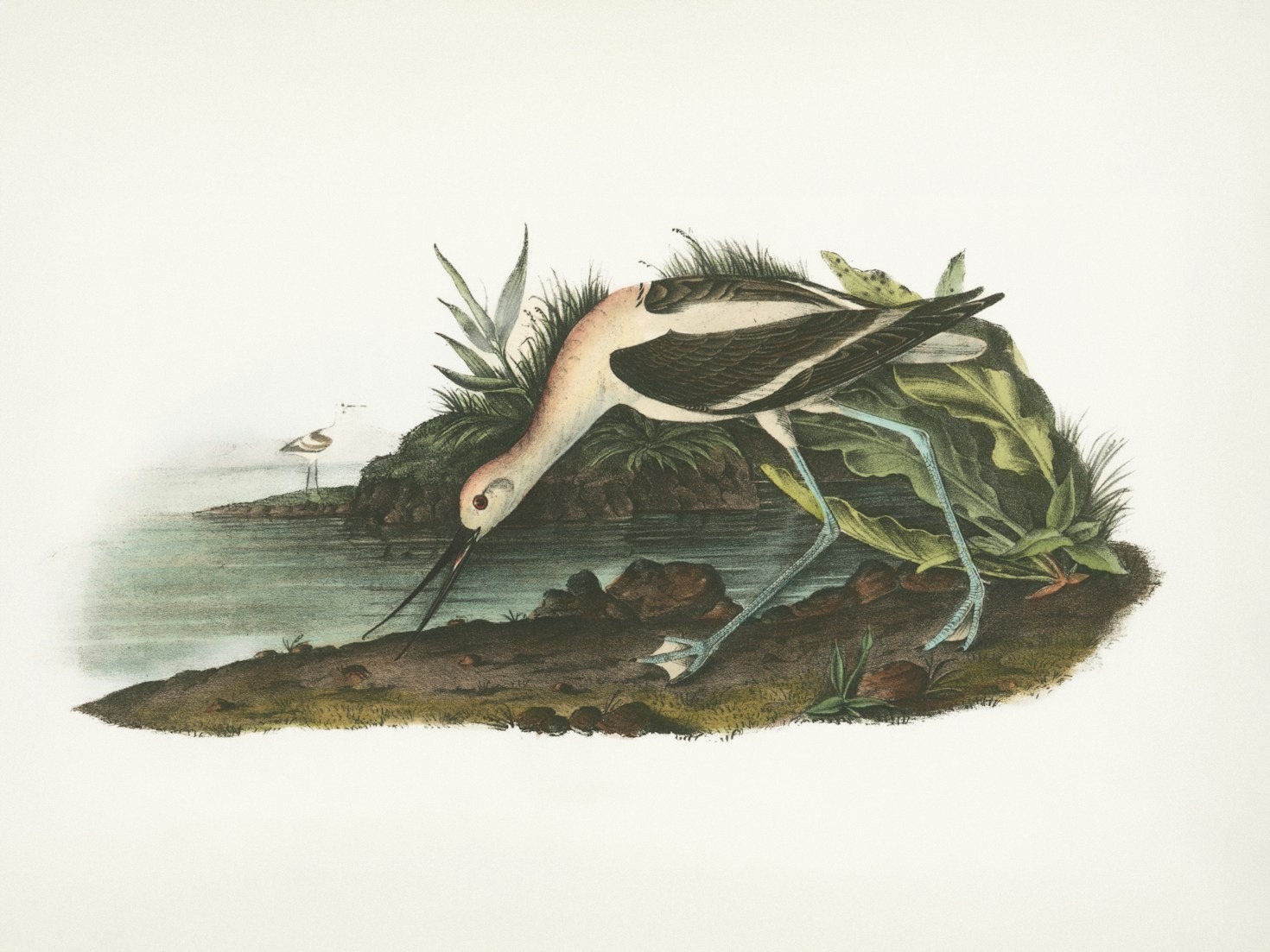 De invloed van Japanse esthetiek op ons leven