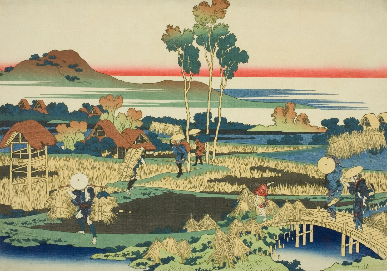 Een week vol onverwachte waarnemingen